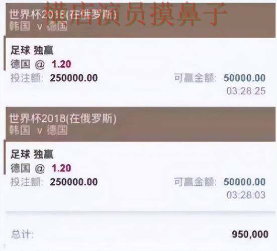世界杯投注平台实测对比报告：用户反馈+直播与实际体验总结 - 世界杯全球总决赛